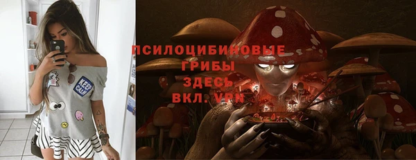 крисы Лабытнанги