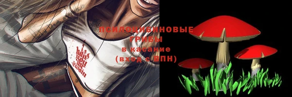 первитин Протвино