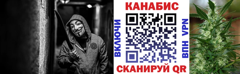 mega как войти  площадка Telegram  Конопля AK-47  как найти закладки  Торопец 